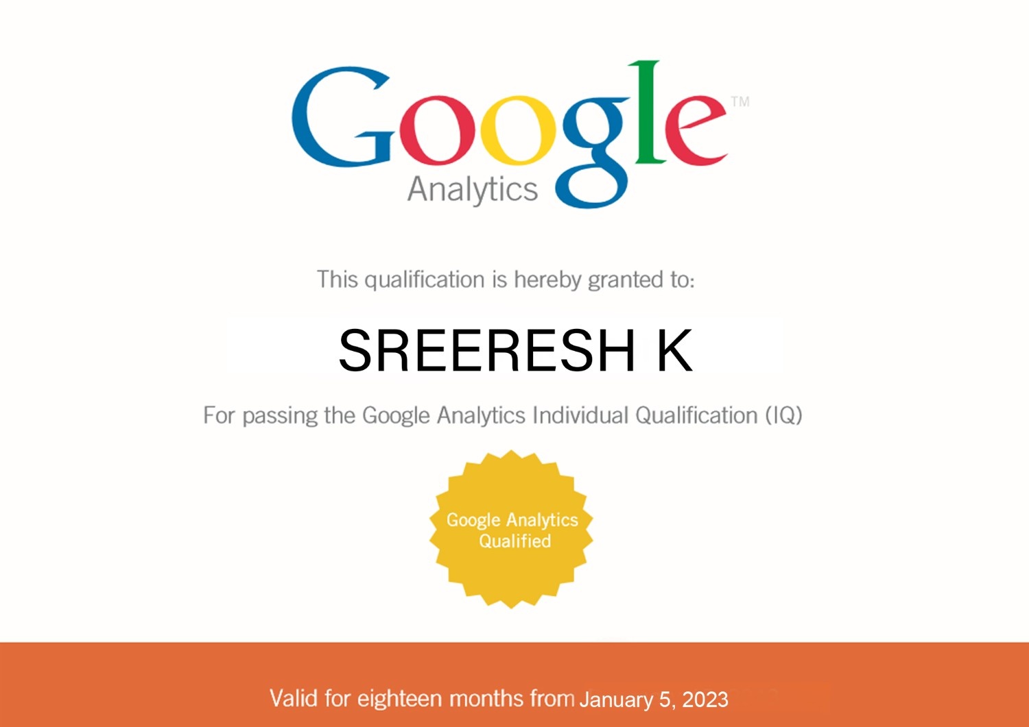 seo freelancer india